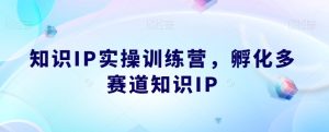 知识IP实操训练营,孵化多赛道知识IP-项目资源库