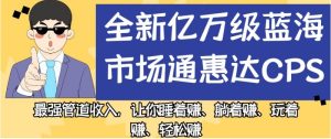 全新亿万级蓝海市场通惠达cps，最强管道收入，让你睡着赚、躺着赚、玩着赚、轻松赚【揭秘】-项目资源库