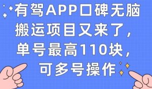 有驾APP口碑无脑搬运项目又来了，单号最高110块，可多号操作-项目资源库