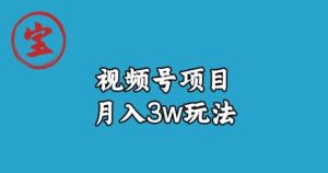 宝哥视频号无货源带货视频月入3w,详细复盘拆解-项目资源库