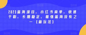 2023蓝海项目,小红书商单,快速千粉,长期稳定,最强蓝海没有之一(新玩法)-项目资源库