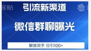 价值2980的全新微信引流技术，只有你想不到，没有做不到【揭秘】-项目资源库