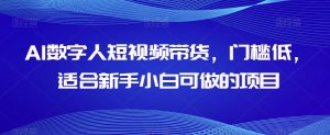 AI数字人短视频带货,门槛低,适合新手小白可做的项目-项目资源库