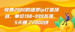 收费2980的塔罗ip打造项目，单价198-999不等，5天赚了2000块【揭秘】-项目资源库