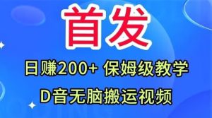 首发,抖音无脑搬运视频,日赚200+保姆级教学【揭秘】-项目资源库