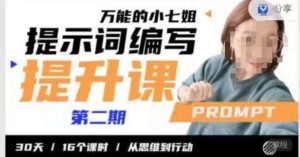小七姐的提示词编写提升课,30天16个课时,从悉维到行动-项目资源库