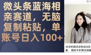 微头条蓝海相亲赛道,无脑复制粘贴,单账号日入100+-项目资源库