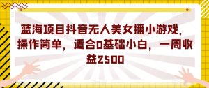 蓝海项目抖音无人美女播小游戏，操作简单，适合0基础小白，一周收益2500【揭秘】-项目资源库