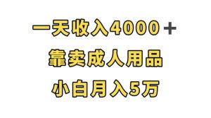 一天收入4000+，靠卖成人用品，小白轻松月入5万【揭秘】-项目资源库