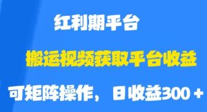 搬运视频获取平台收益，平台红利期，附保姆级教程【揭秘】-项目资源库