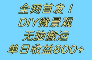 全网首发冷门赛道!DIY微景观,无脑搬运视频,日收益800+【揭秘】-项目资源库