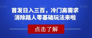 首发日入三百，冷门高需求消除路人零基础玩法来啦【揭秘】-项目资源库