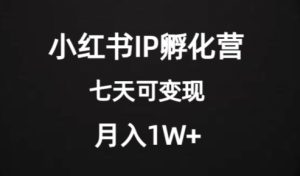 价值2000+的小红书IP孵化营项目,超级大蓝海,七天即可开始变现,稳定月入1W+-项目资源库