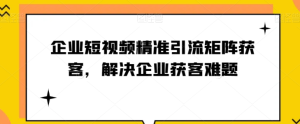 企业短视频精准引流矩阵获客,解决企业获客难题-项目资源库