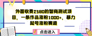 外面收费2580的智商测试项目,一条作品涨粉1000+,暴力起号涨粉赛道【揭秘】-项目资源库