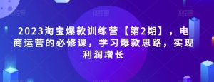 2023淘宝爆款训练营【第2期】，电商运营的必修课，学习爆款思路，实现利润增长-项目资源库