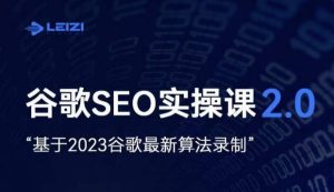 雷子·谷歌SEO 2.0实战课，独立站询盘自由必备，基于2023谷歌最新算法录制-项目资源库