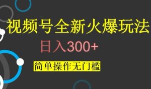 视频号最新爆火玩法，日入300+，简单操作无门槛【揭秘】-项目资源库