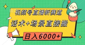 视频号直播新赛道,话术+场景直接搬,日入6000+【揭秘】-项目资源库