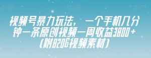 视频号暴力玩法，一个手机几分钟一条原创视频一周收益3800+（附820G视频素材）-项目资源库