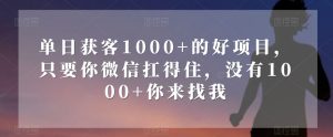 单日获客1000+的好项目，只要你微信扛得住，没有1000+你来找我【揭秘】-项目资源库