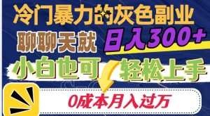 冷门暴利的副业项目，聊聊天就能日入300+，0成本月入过万【揭秘】-项目资源库