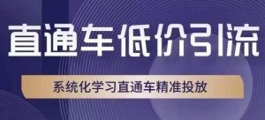 直通车低价引流课,系统化学习直通车精准投放-项目资源库