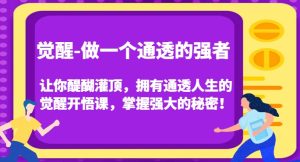 觉醒-做一个通透的强者，让你醍醐灌顶，拥有通透人生的觉醒开悟课，掌握强大的秘密！-项目资源库