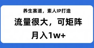 养生赛道，素人IP打造，流量很大，可矩阵，月入1w+【揭秘】-项目资源库