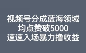 视频号分成蓝海领域,均点赞破5000,速速入场暴力撸收益-项目资源库