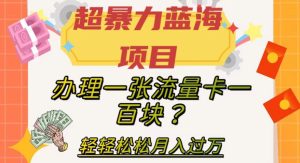 超暴力蓝海项目,办理一张流量卡一百块?轻轻松松月入过万,保姆级教程【揭秘】-项目资源库