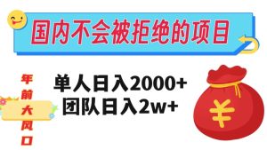 在国内不怕被拒绝的项目,单人日入2000,团队日入20000+【揭秘】-项目资源库