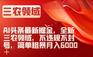AI头条最新掘金，全新三农领域，不违规不封号，简单粗暴月入6000＋【揭秘】-项目资源库