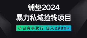 暴力私域捡钱项目，小白无脑操作，日入2980【揭秘】-项目资源库
