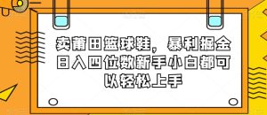 卖莆田篮球鞋，暴利掘金日入四位数新手小白都可以轻松上手【揭秘】-项目资源库