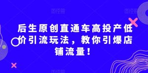 后生原创直通车高投产低价引流玩法，教你引爆店铺流量！-项目资源库
