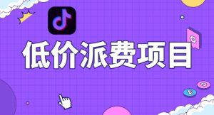 抖音低价派单项目,0门槛,日入1000+很轻松,小白可操作【揭秘】-项目资源库