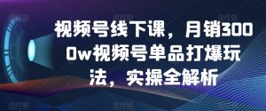 视频号线下课,月销3000w视频号单品打爆玩法,实操全解析-项目资源库