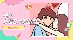 全网首发，揭秘超冷门匿名短信项目，通过信息差日入几百+【揭秘】-项目资源库