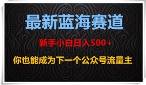 最新蓝海赛道，新手小白日入500+，你也能成为下一个公众号流量主【揭秘】-项目资源库