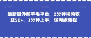 最新国外薅羊毛平台，2分钟视频收益50+，1分钟上手，保姆级教程【揭秘】-项目资源库