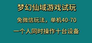 梦幻仙域游戏试玩，免微信玩法，单机40-70，一个人同时操作十台设备【揭秘】-项目资源库