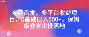 全网首发,多平台收益项目,0基础日入500+,保姆级教学实操落地【揭秘】-项目资源库