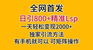 全网首发！日引800+精准老色批，一天变现2000+，独家引流方法，可矩阵操作【揭秘】-项目资源库