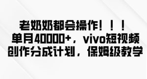 老奶奶都会操作，新平台无脑操作，单月40000+，vivo短视频创作分成计划【揭秘】-项目资源库