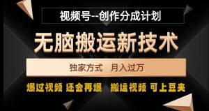 视频号无脑搬运新技术，破原创壕流量，独家方式，爆过视频，还会再爆【揭秘】-项目资源库