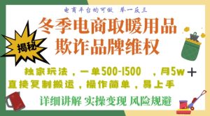 利用电商平台冬季销售取暖用品欺诈行为合理制裁店铺，单日入900+【仅揭秘】-项目资源库