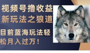 视频号撸收益新玩法之狼道，目前蓝海玩法，轻松月入过万【揭秘】-项目资源库