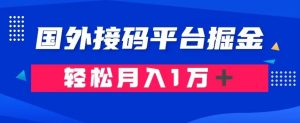 通过国外接码平台掘金：成本1.3，利润10＋，轻松月入1万＋【揭秘】-项目资源库