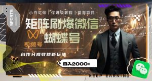 矩阵刷爆微信蝴蝶号创作者分成计划收益的新玩法，日入2000+【揭秘】-项目资源库